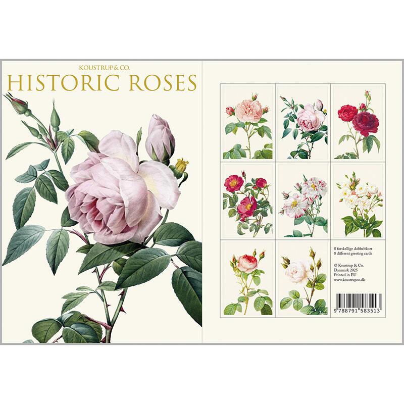 洋書 Porzellanmalerei Faszination Rosen Historic Roses – 8 cards – Koustrup & Co